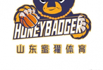 葡萄牙vs乌兹别克斯坦